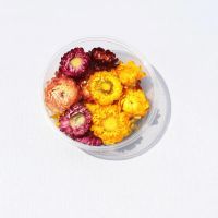 [买就送]干花永生花绣球diy手工材料盒装饰压花滴胶手机壳 雏菊小花苞(15朵)