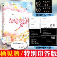 正版 白日梦我 栖见著 晋江言情小说简体书 偷偷藏不住 偏偏宠爱【60天内发货】 白日梦我【印特签版+A款赠品】