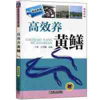高效养黄鳝 黄鳝养殖技术书养殖技术书籍大全 黄鳝网箱养殖技术 高效养黄鳝