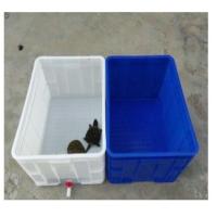 乌龟缸龟箱大号乌龟饲养盒巴西龟草龟鳄龟养殖箱鱼缸一件特价 1号箱34*26.5*13厘米