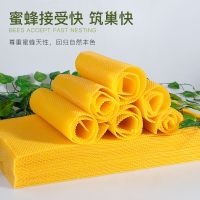 中蜂巢础片深房蜂巢蜂蜡蜂箱养蜂工具蜜蜂巢脾巢基30片巢皮 中蜂巢础 送1王笼4防逃片