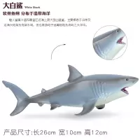 仿真海洋生物型巨齿鲨玩具鲨鱼锤头鲨大白鲨动物模型儿童男孩礼物 大白鲨