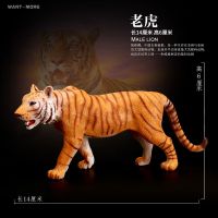 玩模乐儿童玩具野生动物模型非洲草原猛兽西伯利亚虎黄老虎白老虎 wantmore-黄老虎.