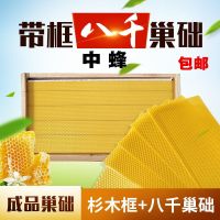 中蜂意蜂成品带框八千巢础杉木蜂巢脾皮蜜蜂箱养蜂用10个装 中蜂八千带框巢础10个装