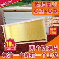 优质成品巢框带蜜蜂巢础巢脾中蜂/意蜂蜂框蜂巢上好铁丝带框 中蜂带框巢础(赠品如图)