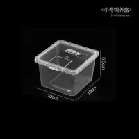 爬宠饲养盒两栖蜗牛蜘蛛守宫角蛙大号乌龟饲养箱带躲避造景爬虫盒 爱尚爬小号饲养盒