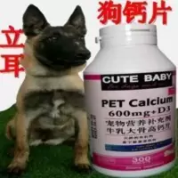 马犬专用钙粉小狗长个犬钙片腿软无力抽搐个不高猛犬战犬补充体力 马犬专用钙粉小狗长个犬钙片腿软无力抽搐个不高猛犬战犬补充体
