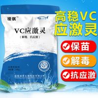 高稳vc应激灵宝水产养殖小龙虾鱼蟹塘抗应激解毒复合多维维生素C [VC应激灵]1袋