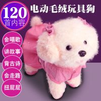 儿童电动毛绒玩具狗狗会唱歌会叫走路小狗机器狗男孩女孩仿真泰迪 公主狗-粉色衣服 [送电池]120首歌曲+故事+诗词