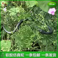 软胶仿真蛇大号眼镜蛇加长蟒蛇儿童玩具小蛇整人吓人假蛇动物模型 30cm软胶小蛇