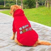 狗狗衣服秋冬装金毛拉布拉多阿拉斯加马犬德牧中型大型犬加厚冬季 靓的仔---红色 L 5--8斤