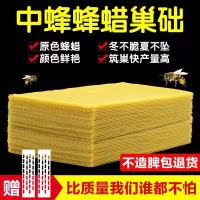 巢础中蜂深房巢础蜜蜂巢础巢基中蜂巢脾养蜂工具中蜂巢础30片 中蜂巢础30片(送2防跑片)