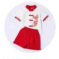 六一儿童合唱演出服装中国风中小学生男女朗诵表演节目幼儿园国学 男款短袖 110