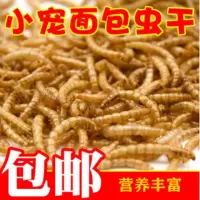 仓鼠面包虫虫干黄粉虫松鼠金丝熊营养补钙 面包虫50克