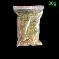 角蛙饲养盒专用两栖饲养箱乌龟饲养盒蝾螈蛙蜈蚣带晒台爬宠饲养盒 苔藓30g