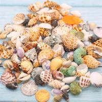 天然贝壳海螺海星珊瑚螺贝鱼缸造景装饰品卷贝鱼寄居蟹替换壳组合 100个(1-4cm)海螺贝壳 A组