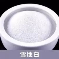 守宫砂守宫砂宠物蝎子寄居蟹沙漠钙砂钙沙 雪地白2500克
