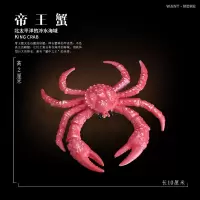 玩模乐儿童玩具螃蟹模型海洋玩具仿真动物寄居蟹帝王蟹莎莉蟹模型 wantmore-帝王蟹
