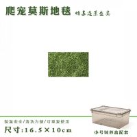 爬虫箱莫斯莫丝地毯雨林地垫造景爬宠蛇角蛙蜥蜴造景垫材手工切割 16.5*10cm[单张垫子不含缸]