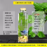 生态瓶鱼微景观免换水斗鱼瓶生态鱼瓶水族宠物斗鱼活体专用缸diy 柠檬黄 六棱马尾黄沙