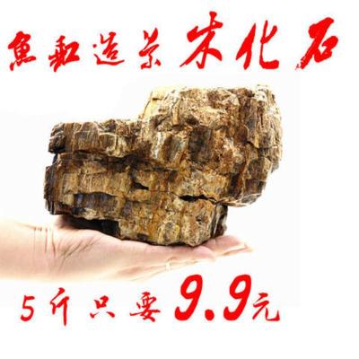 鱼缸草缸造景石木化石树化石鱼缸装饰假山造型 不规则形状5斤