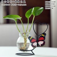 创意绿萝玻璃水培器皿花瓶摆件客厅插花透明小花器花盆桌面办公室 双底环爱心-黑-铁艺