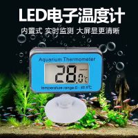 水族温度计养鱼液晶水温计热带鱼电子无线水温仪器鱼缸水族箱用品 LED温度计