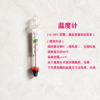 鱼缸温度计 高精度 水族潜水温度计 玻璃鱼缸专用吸盘 小胖迷你 小胖ll温度计 1支