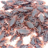 仿真小强假蟑螂吓人整人报复神器恶作剧搞怪礼物整蛊玩具虫子道具 10只