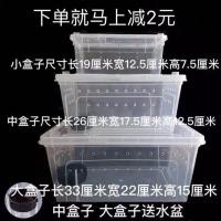 爬虫饲养盒爬虫爬宠饲养箱蜘蛛蝎子蛇蜥蜴乌龟角蛙椰土宠物蚂蚁异 白色小号饲养盒1个
