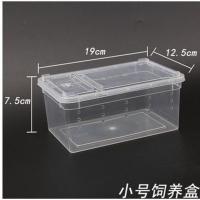 爬虫爬宠饲养盒躲避造景洞椰子壳蜈蚣蝎子蜘蛛螳螂蜈蚣豹纹守宫 小饲养盒(送镊子滴管)