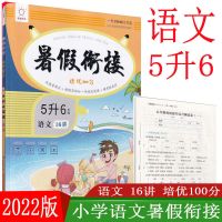 5升6年级 语文 2022版小学全脑图书暑假街接培优100分1升2升3升4升5升6暑假作业
