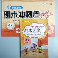 六年级下册语文期末总复习+试卷 人教版六年级下册试卷小升初期末总复习教材同步训练专项练习册