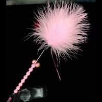 粉色 [奇特杂货店]彩色羽毛逗猫棒 钢丝珠珠铃铛训猫棒 猫狗互动玩具