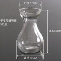 小玻璃瓶(透明色)2个 过年正常发 玻璃花瓶透明水培绿萝植物玻璃花瓶家用插花客厅装饰摆件批发欧式
