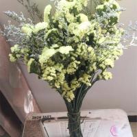 黄色10支 不含花篮 勿忘我干花花束真花 云南鲜花批发客厅家居装饰摆件满天星干花束