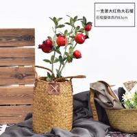 红色大个头石榴-不含花篮[1支装] 仿真石榴果树枝假花高档发财果中式美式客厅插花落地玄关装饰摆件