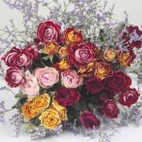 彩色玫瑰泡泡30头+情人草 云南天然满天星干花花束客厅摆设插蔷薇玫瑰干花真花装饰摆件风干