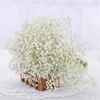 白色满天星一束 云南鲜花批发满天星干花花束客厅装饰摆件花束办公室插花满天星