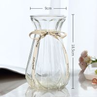18CM南瓜[透明送丝带] [特大号两件套]玻璃花瓶透明水养富贵竹百合鲜花瓶客厅插花摆件