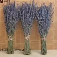 普通薰衣草花束100g 薰衣草干花花束满天星家居用品家庭客厅桌面装饰品摆件生日礼物