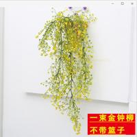 短款一束金钟柳黄色[不送花篮] 仿真金钟柳客厅墙面装饰室内绿植壁挂花藤垂吊藤条植物假花藤蔓