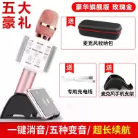 玫瑰粉 低配款[入门级别丨] 麦克风低音炮话筒全民无线K歌唱歌神器蓝牙音响一体手机低音炮家