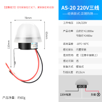 AS-20(220V) 220V直流12V防雨AS-20天黑自动亮光感应智能路灯光控制器