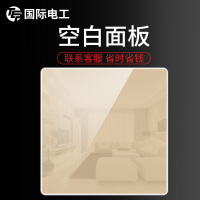 空白面板 国际电工86型开关插座面板墙式玻璃镜面暗装家用一开5五孔双控
