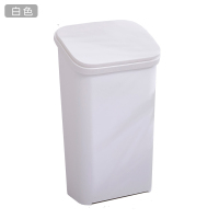 白色(20L) 大容量垃圾桶大号家用学校分类厨房客厅办公室按压垃圾筒北欧带盖