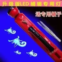 红色大镊子一把 充电led蝎子灯 捕蝎专用强光紫光灯 捉照逮抓蝎子灯手提灯豆虫灯