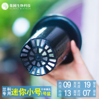 兰花盆1号(迷你小号)[3个] 无侧孔 黑色 兰花专用盆高脚塑料兰花盆兰草育苗君子兰铁皮绿植营养土沥水透气