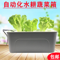 静音款水培箱 大 水培蔬菜种植箱无土栽培设备家庭阳台种菜机室内自动水耕草莓花盆
