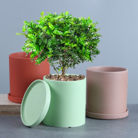 圆柱小号哑白 中等 陶瓷花盆北欧ins直筒圆柱形 特价清仓多肉绿植鲜花绿萝盆栽带托盘
